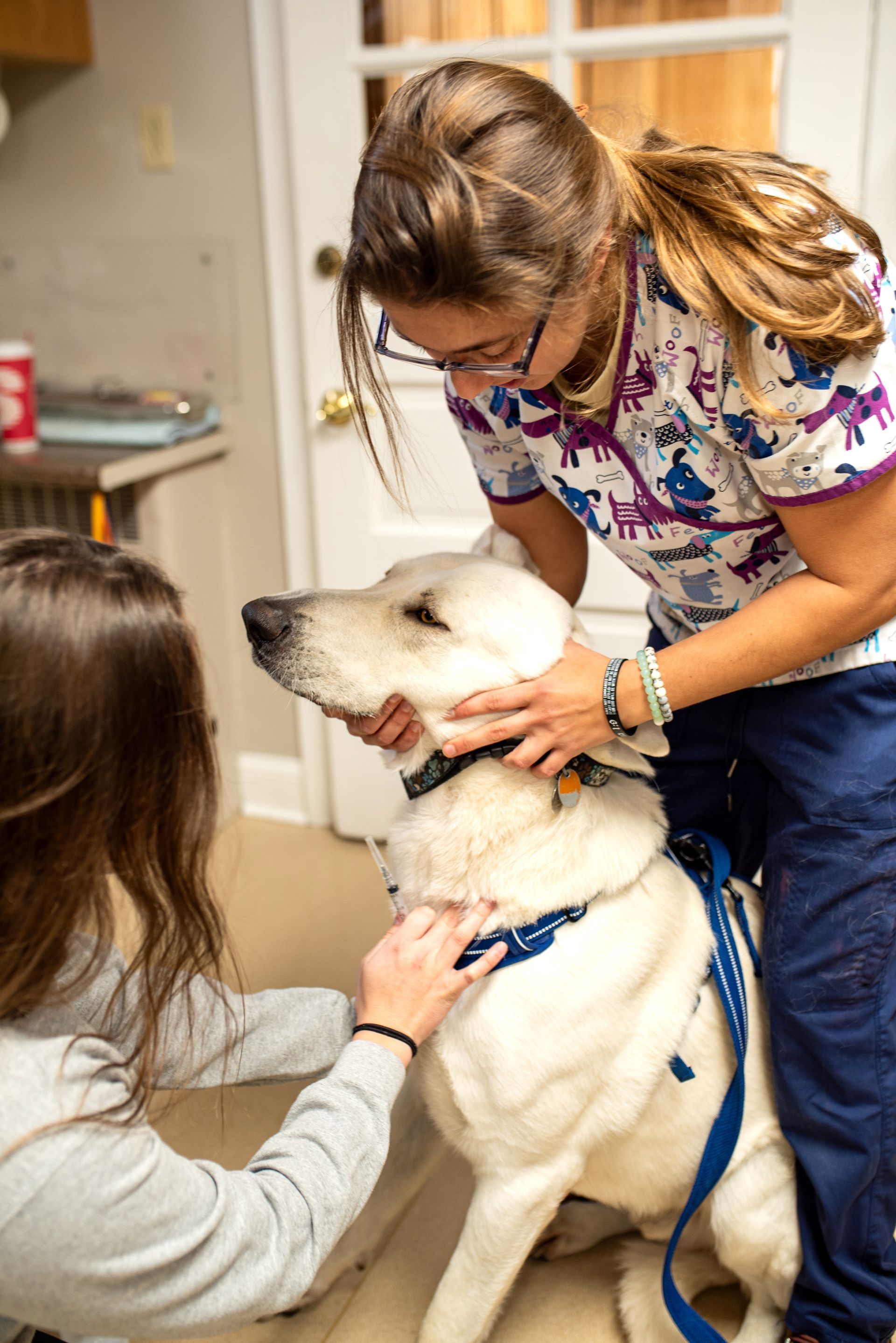our clinic image