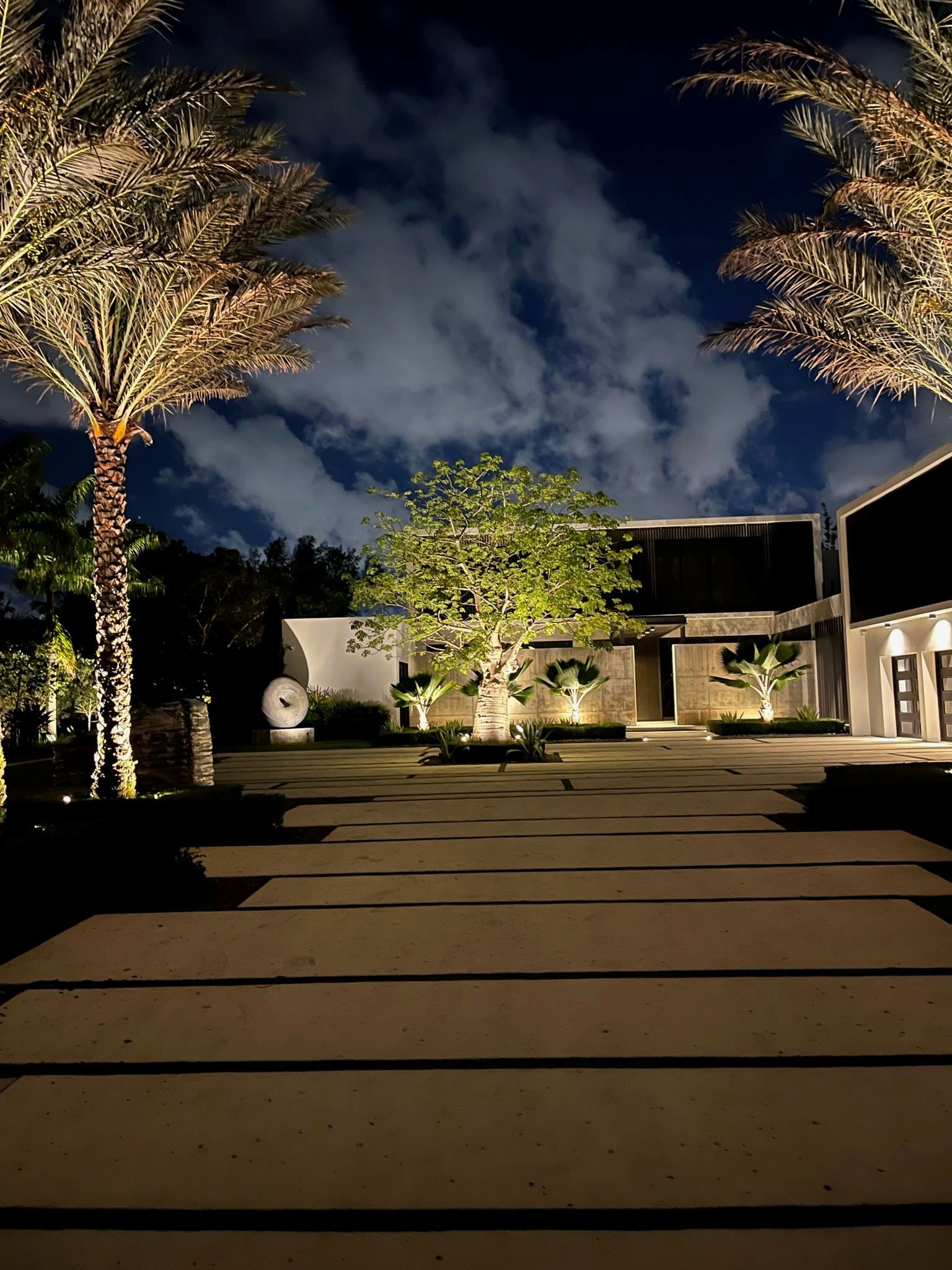 An illuminated courtyard at night featuring a central tree, palm trees on either side, and modern architectural features.