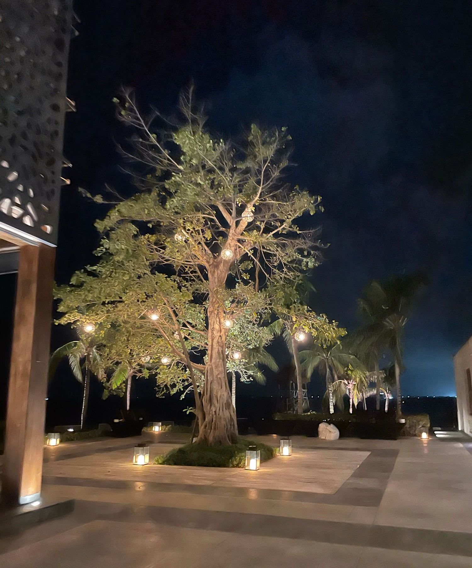 A large tree lit by warm string lights at night, centered in a stone patio with decorative ground lanterns.