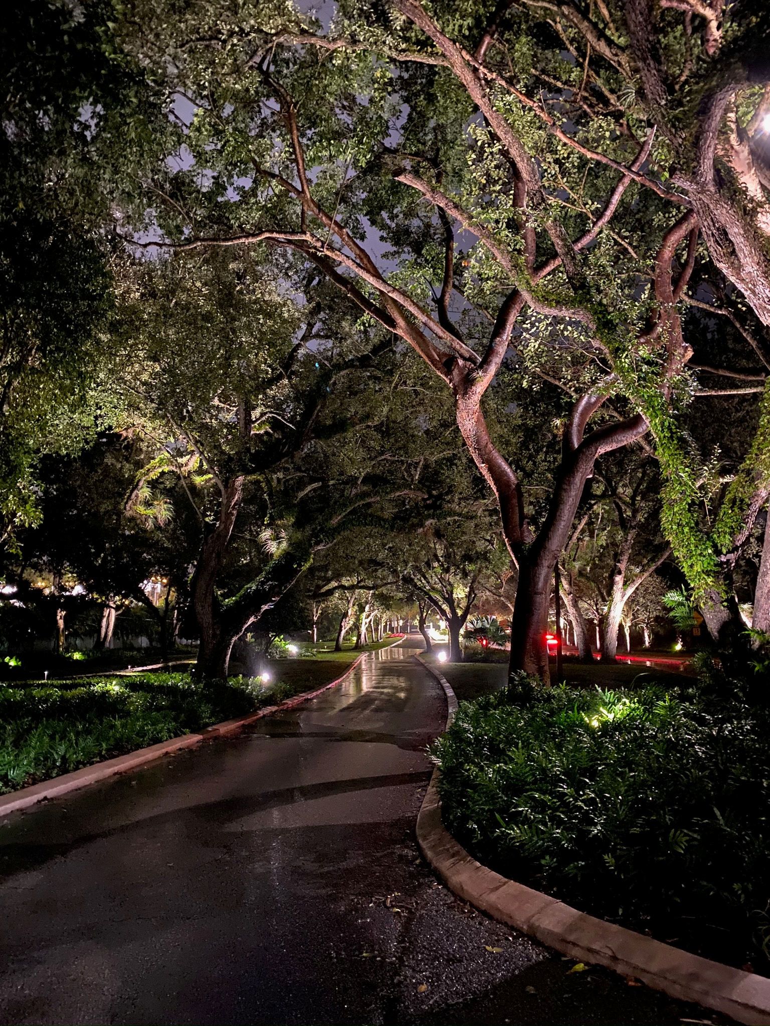 A lit, paved path winds through trees under the night sky, surrounded by manicured landscaping and ambient lighting.