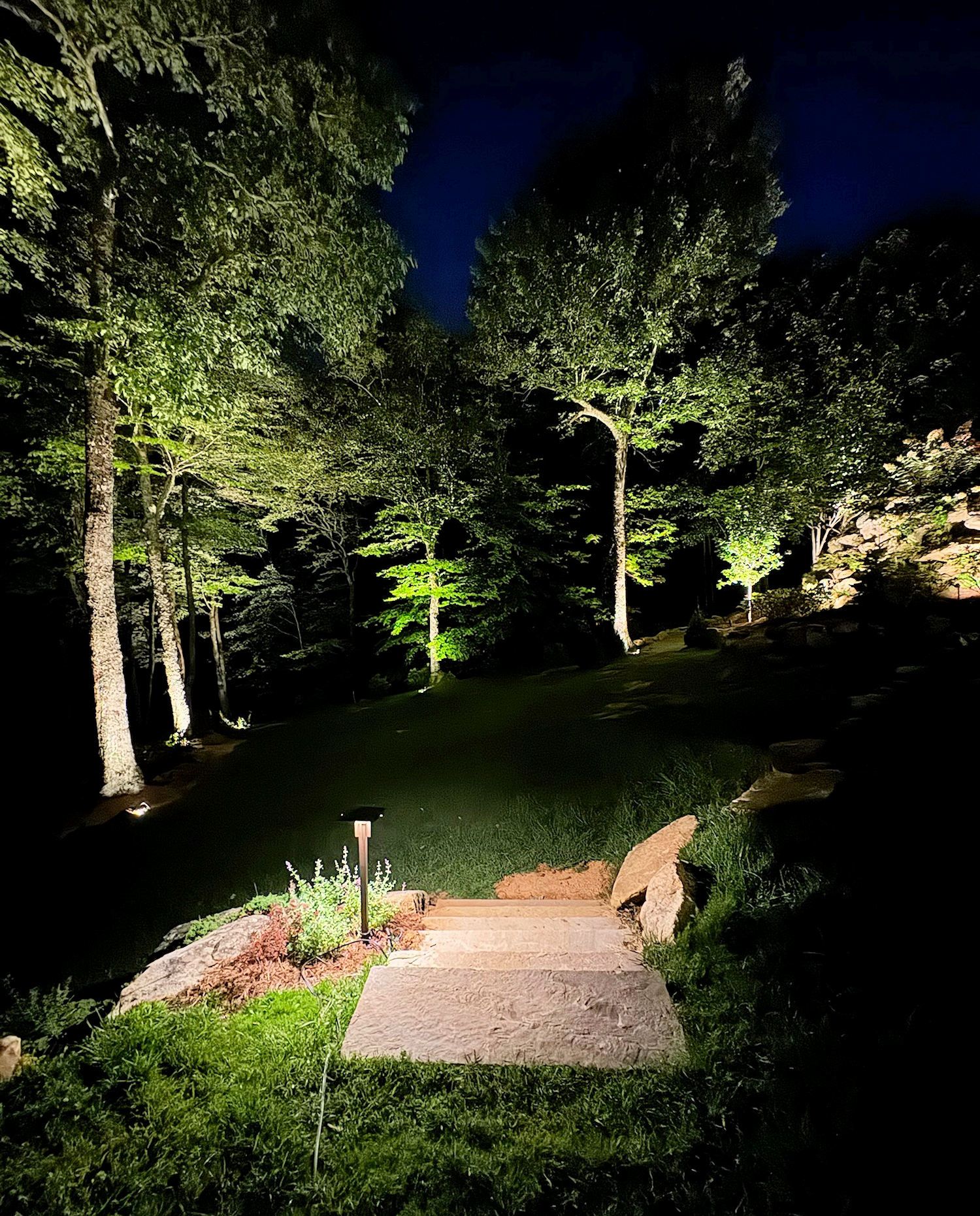 Stone stairs illuminated by landscape lighting at night, surrounded by dark trees and a grassy lawn.