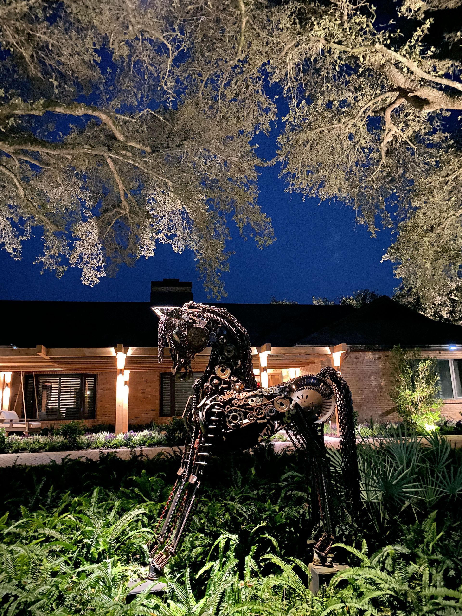 A dark metal sculpture of a horse stands in a garden bed at night in front of a softly lit building and oak trees.