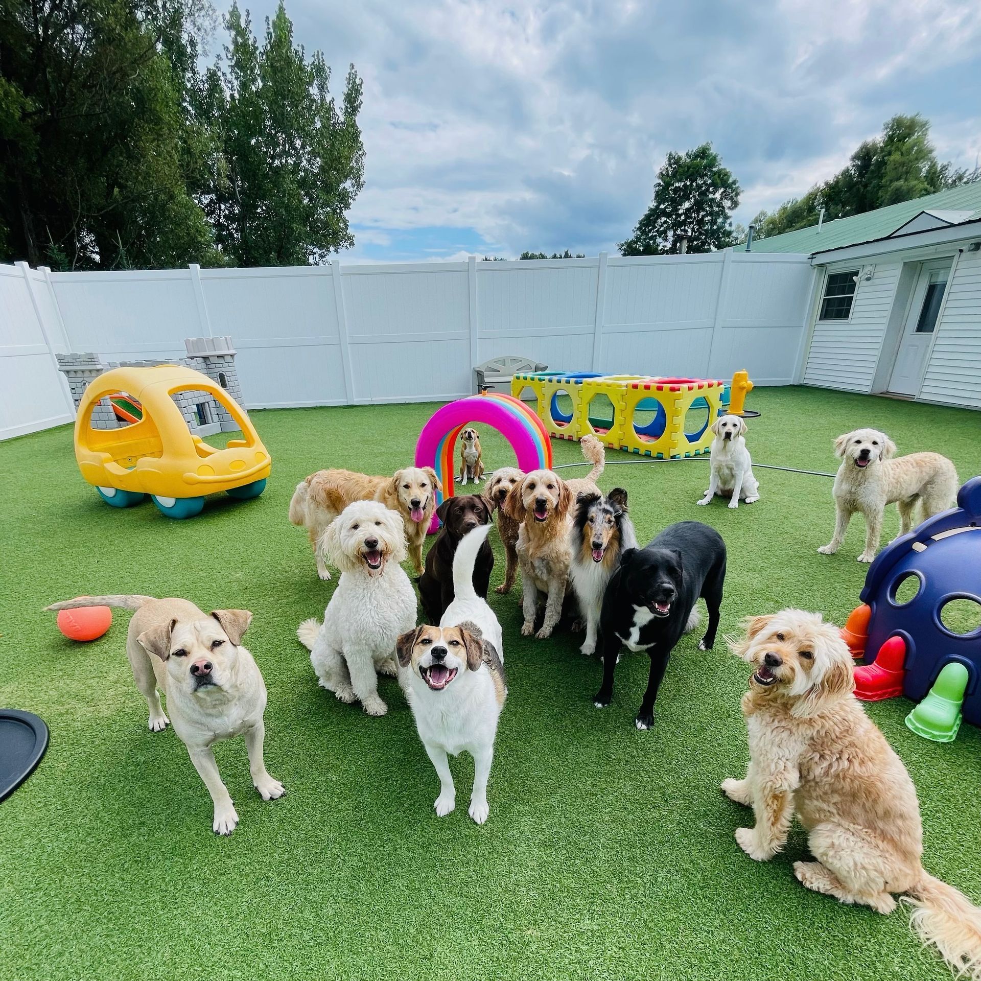 Playing with my Friends