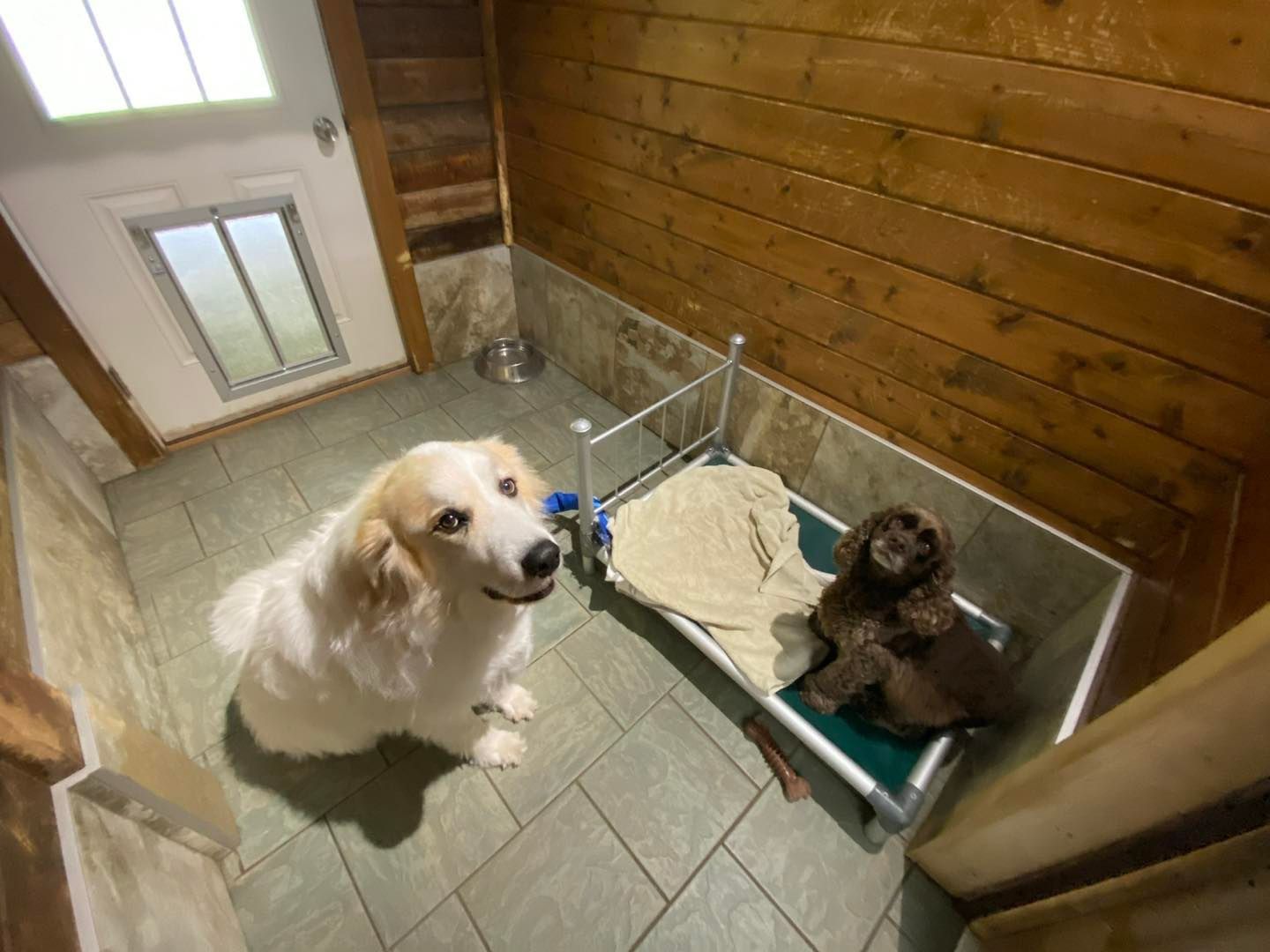Medium Luxury Suite