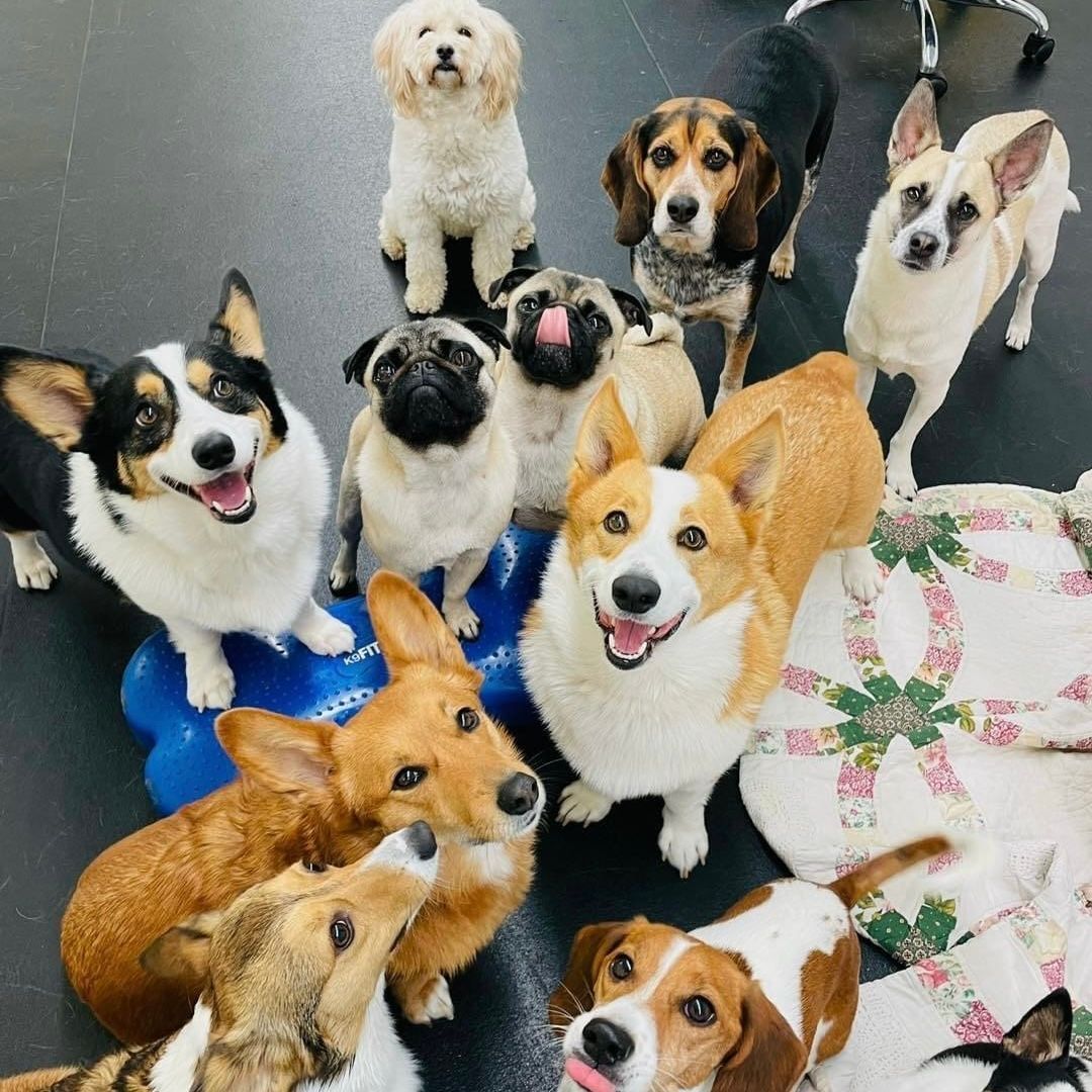 Littles having Fun