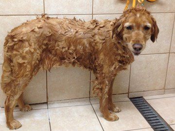 Bath time