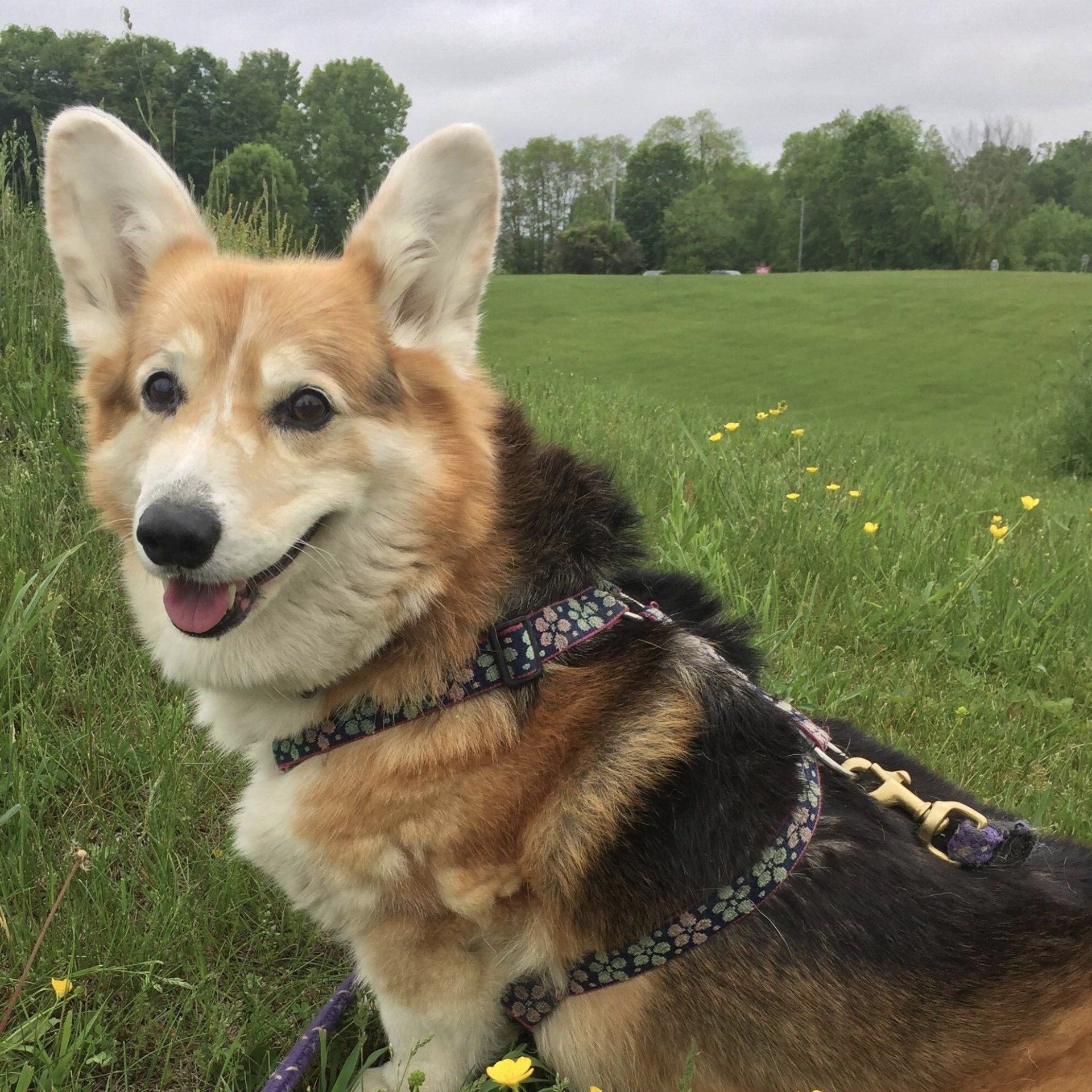 Ready to go Hiking.
