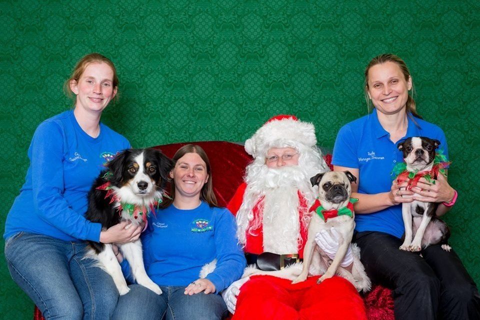 Photos with Santa Paws 2014