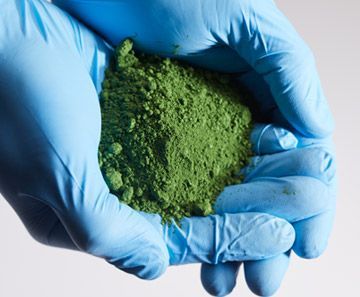 Blue-gloved hands holding a pile of green powder on a white background