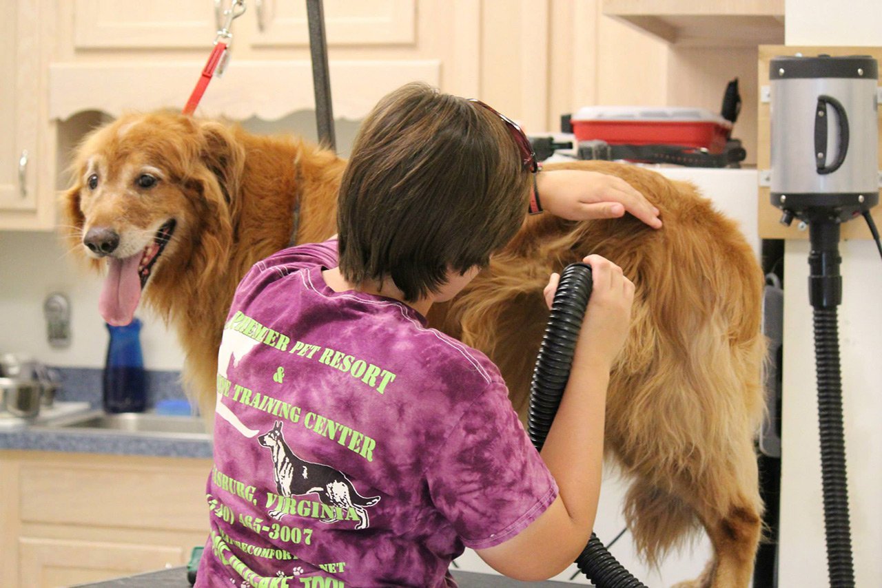 Pet Boarding Strasburg, VA 5404653007