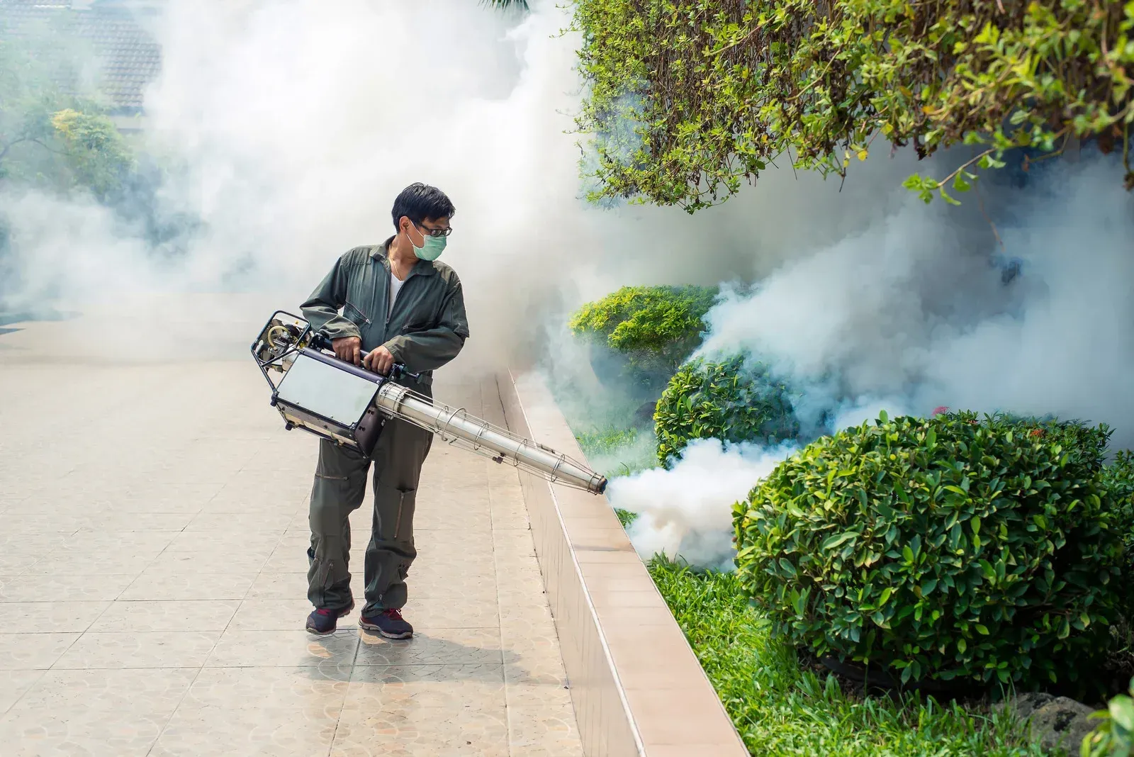 Person in protective gear spraying insecticide near bushes. White smoke billows.