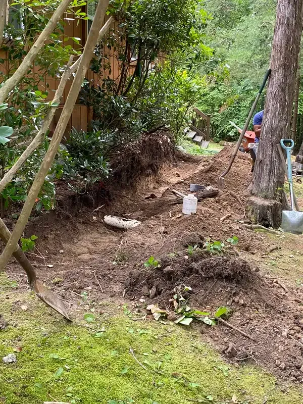 Garden bed being dug out beside a tree, with soil piled up and a shovel leaning nearby.