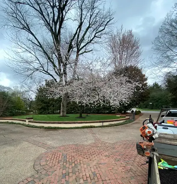 Brick driveway beside a landscaped park with blooming white trees and a parked trailer.