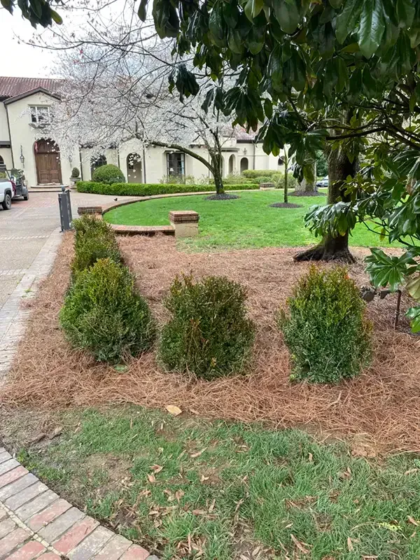 Courtyard garden with shrubs, grass, and a brick path beside a stone building