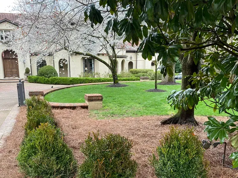 Landscaped courtyard with green lawn, shrubs, and a tree beside a building with arched windows.