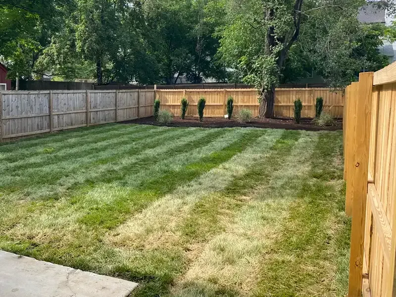 Backyard lawn with striped grass, wooden fences, and trees in the background