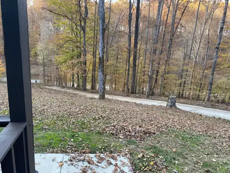 Autumn woods beside a gravel road, seen from a porch with fallen leaves and bare trees.