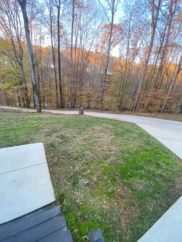 Curved concrete driveway beside a grassy yard and autumn trees on a hillside