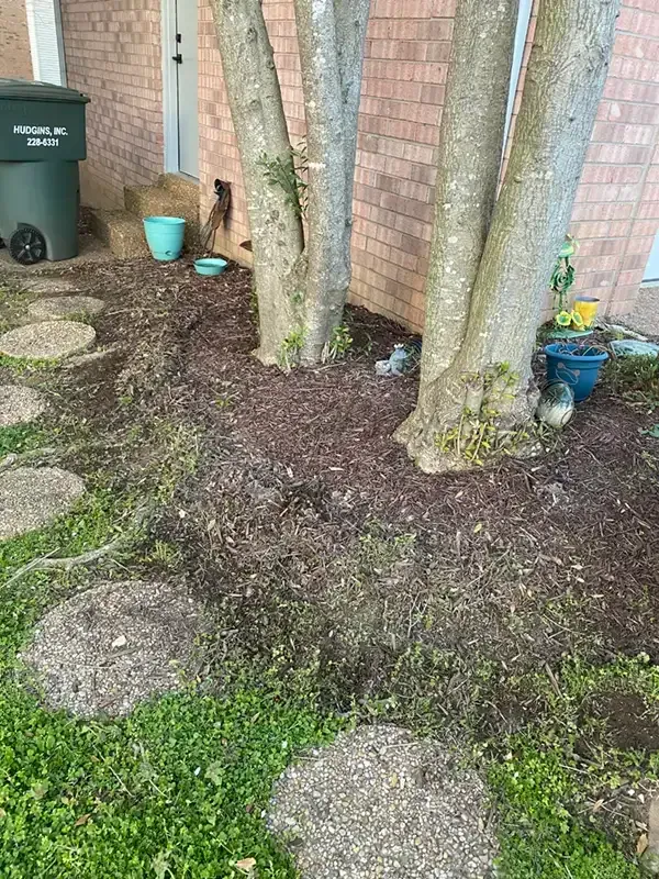 Mulched yard with tree trunks, stepping stones, and a green bin beside a brick wall