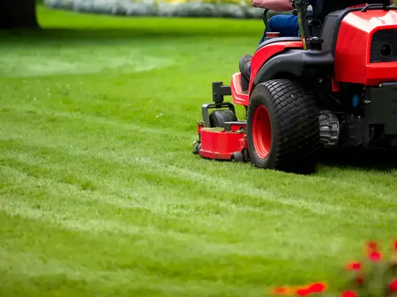 Person mowing a bright green lawn with a red riding mower
