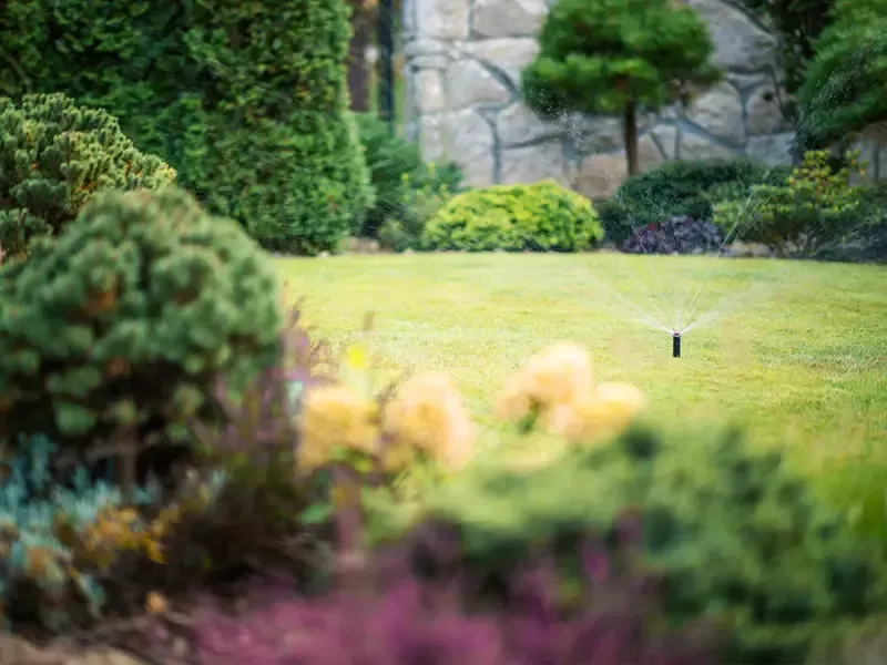 Blurred garden with green lawn, shrubs, and irrigation in the background