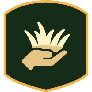 grass icon