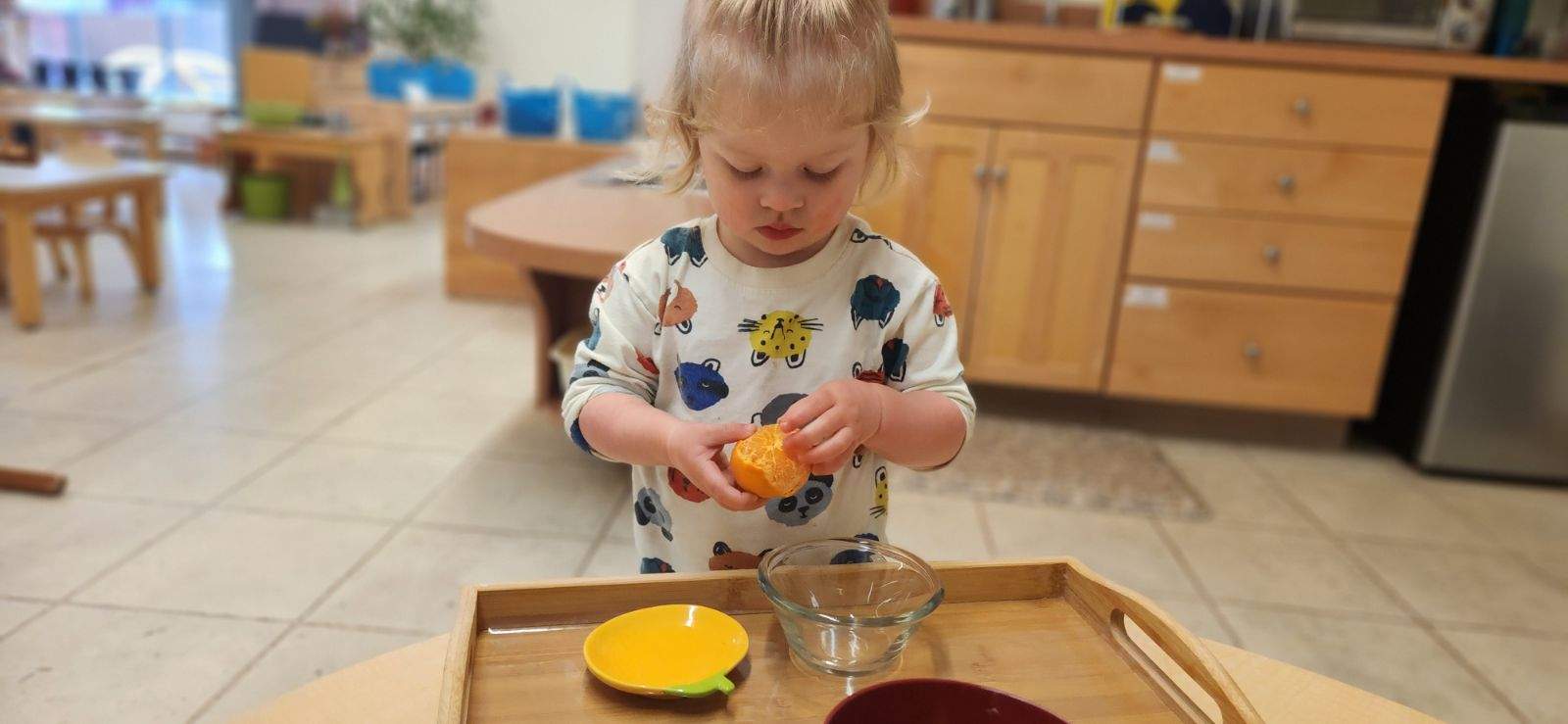 A Montessori child is peeling an orange