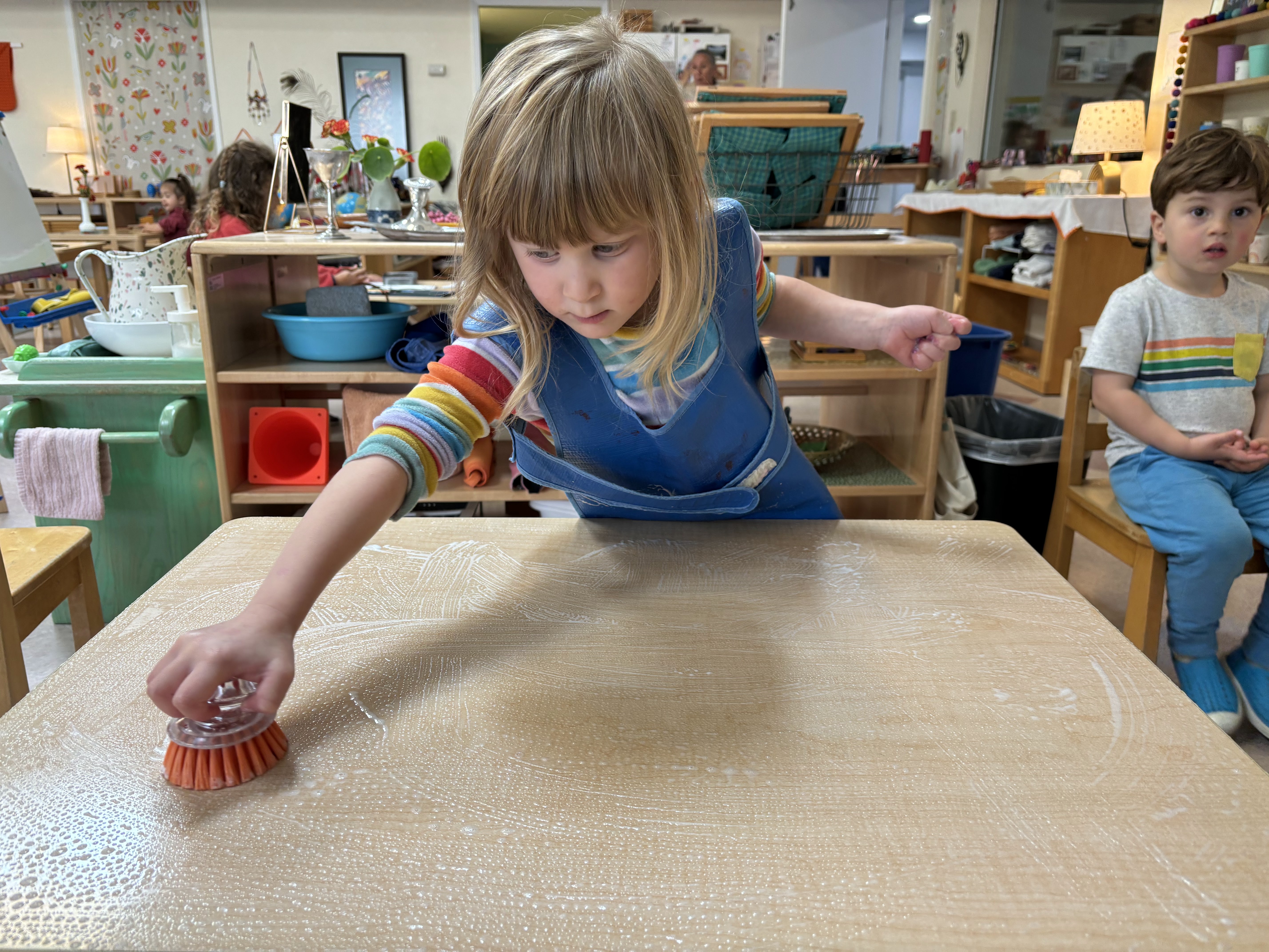 A Montessori child is cleaning a table with a brush.