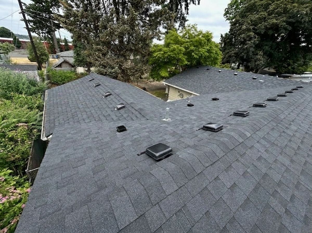 Black shingle roof with vents and skylights, viewed from above in a residential neighborhood