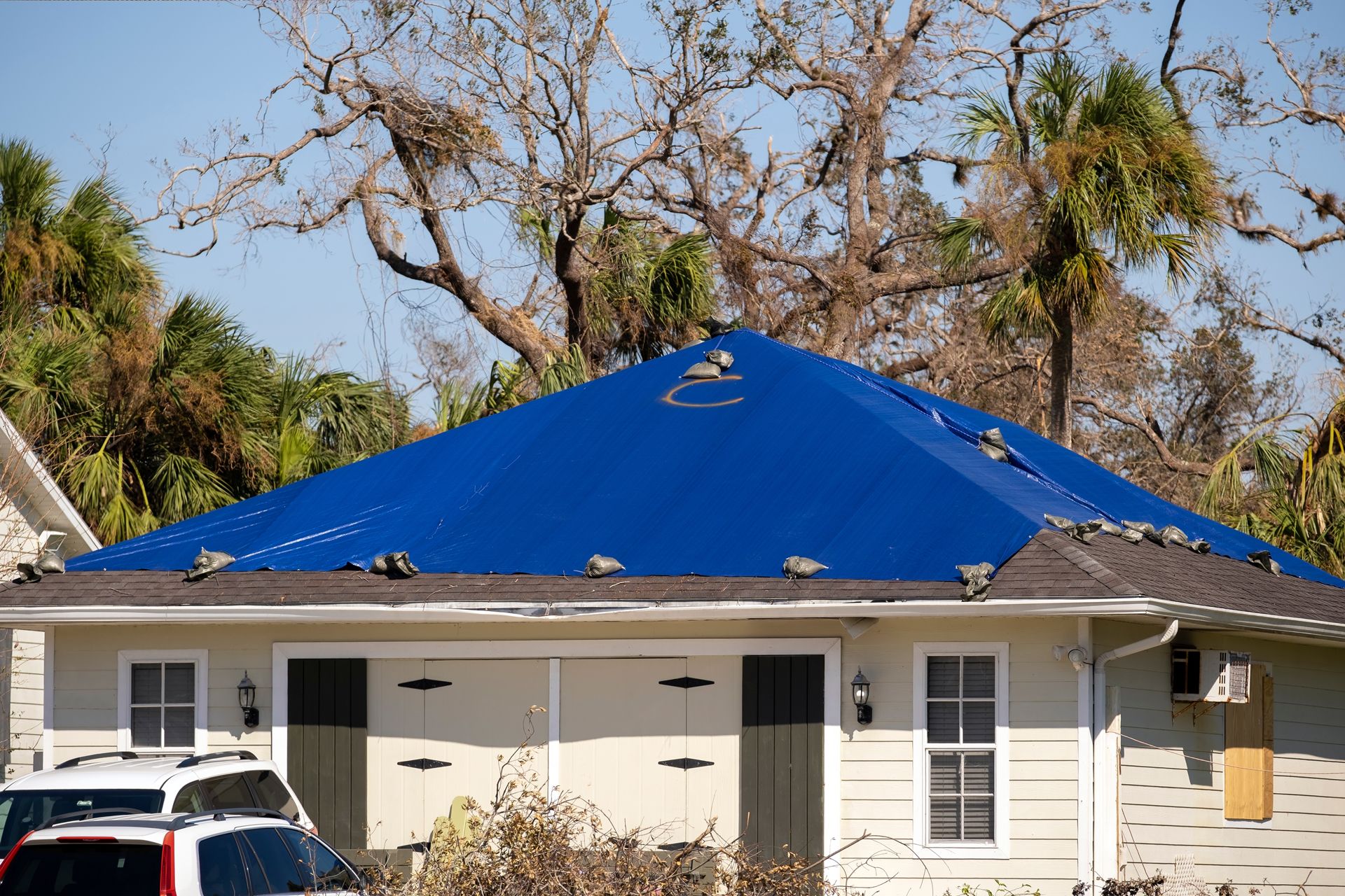 House with a bright blue roof amid trees, with parked vehicles in front.