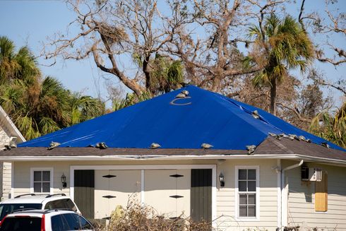 House with a bright blue roof amid trees, with parked vehicles in front.