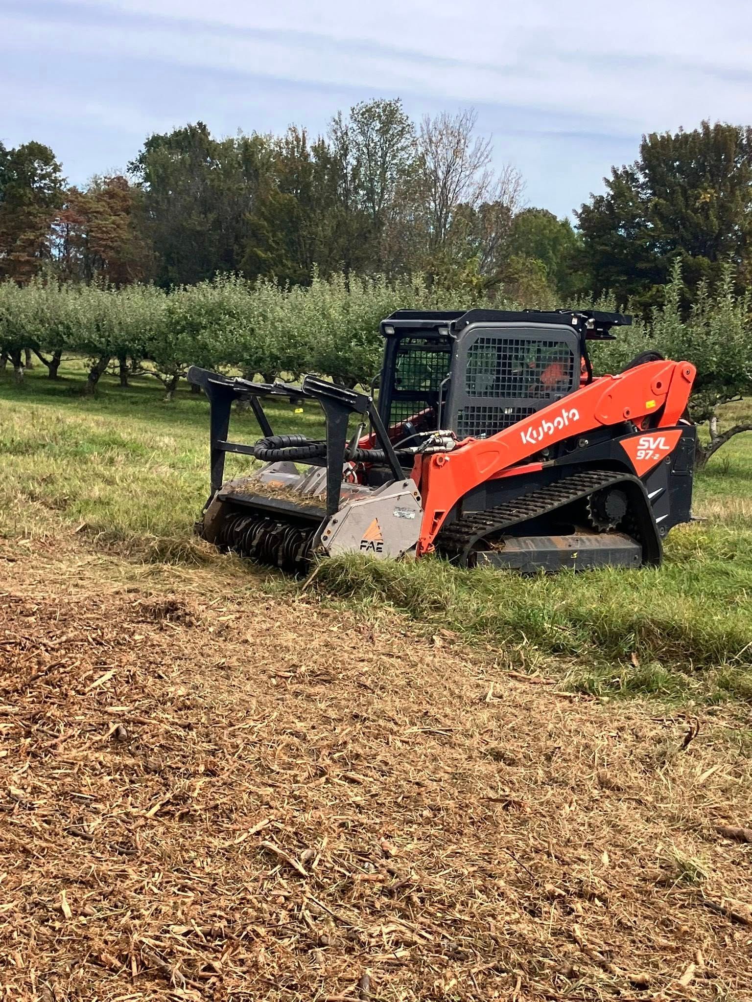Orange skid steer clearing leaves in an orchard under a cloudy sky