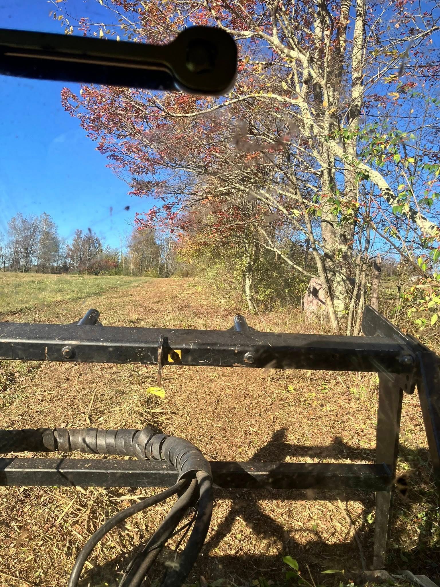 Autumn trees behind a black metal railing under a bright blue sky