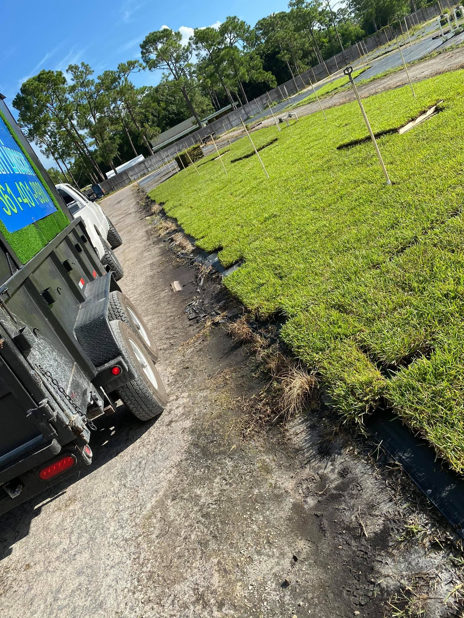 Commercial Sod Installation