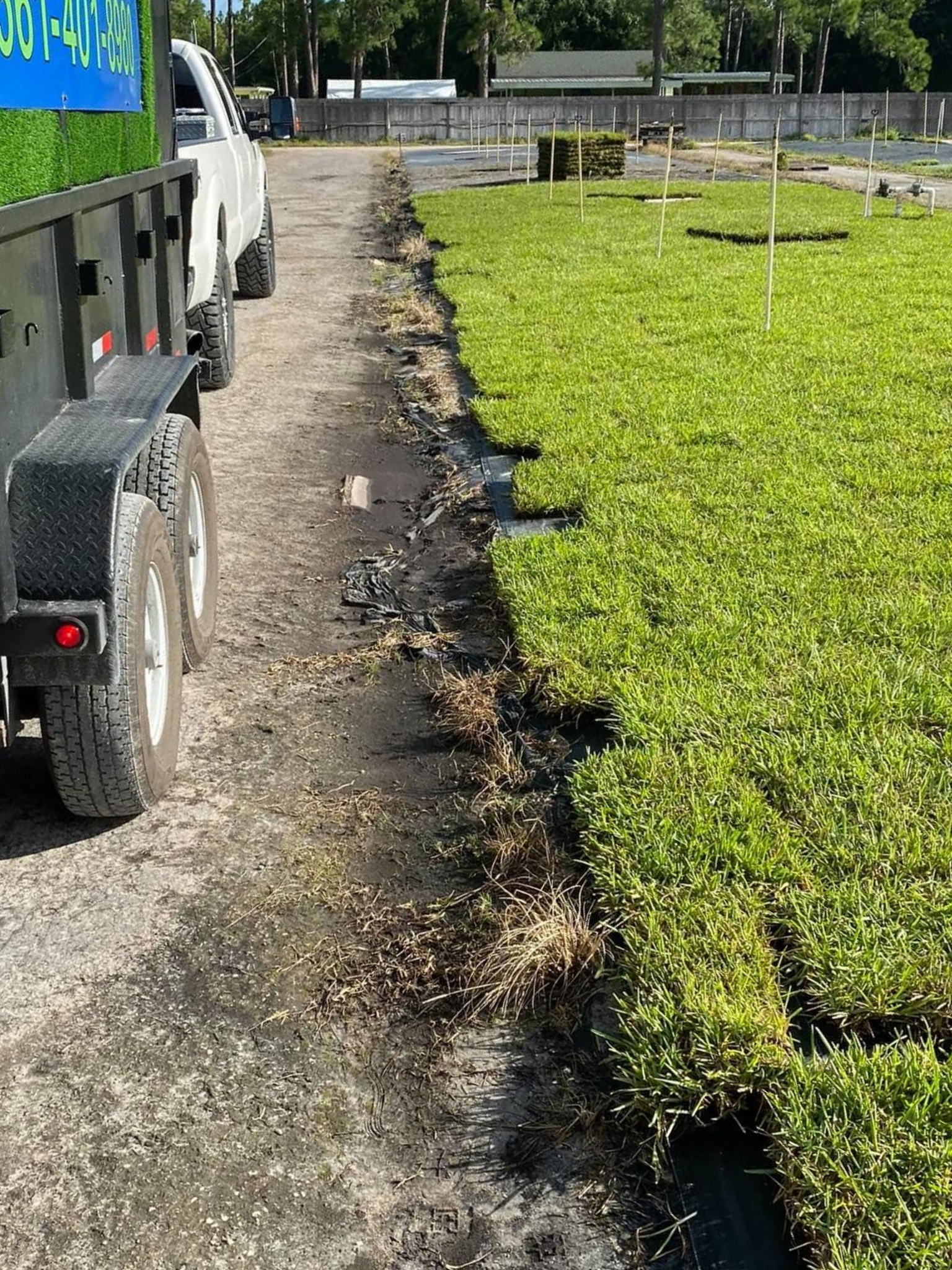 Commercial Sod Installation
