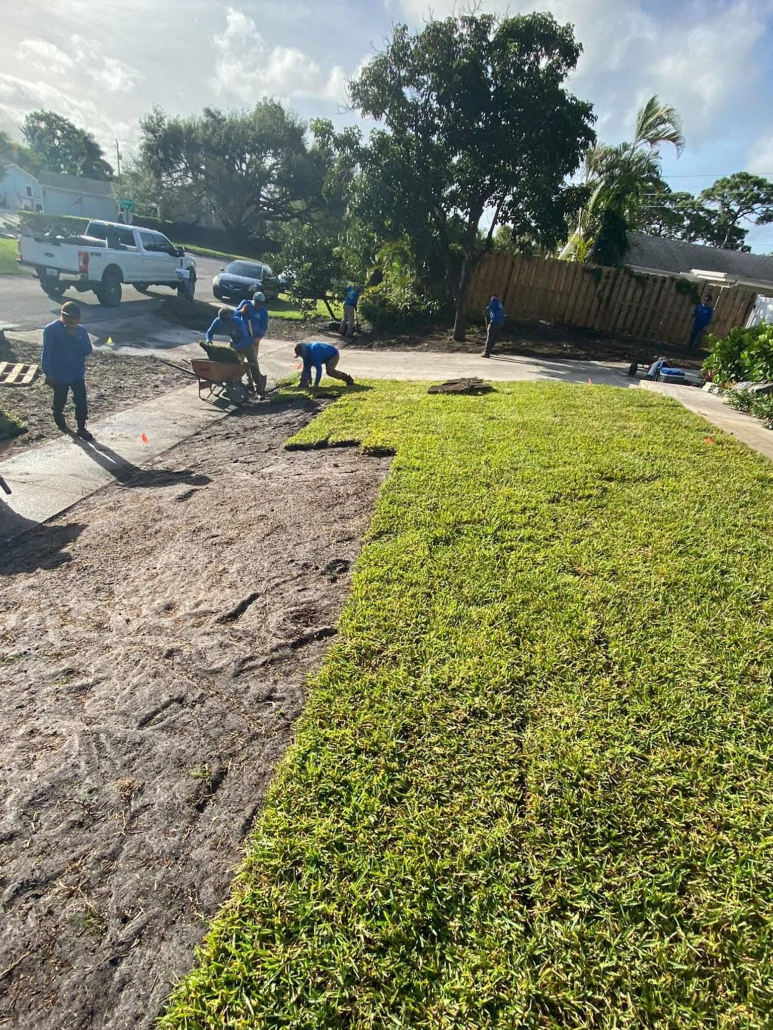 Sod Installation