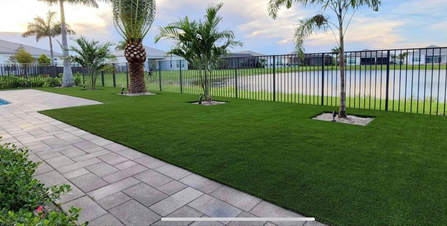 Lush green lawn next to a black fence and gate, sunny day.