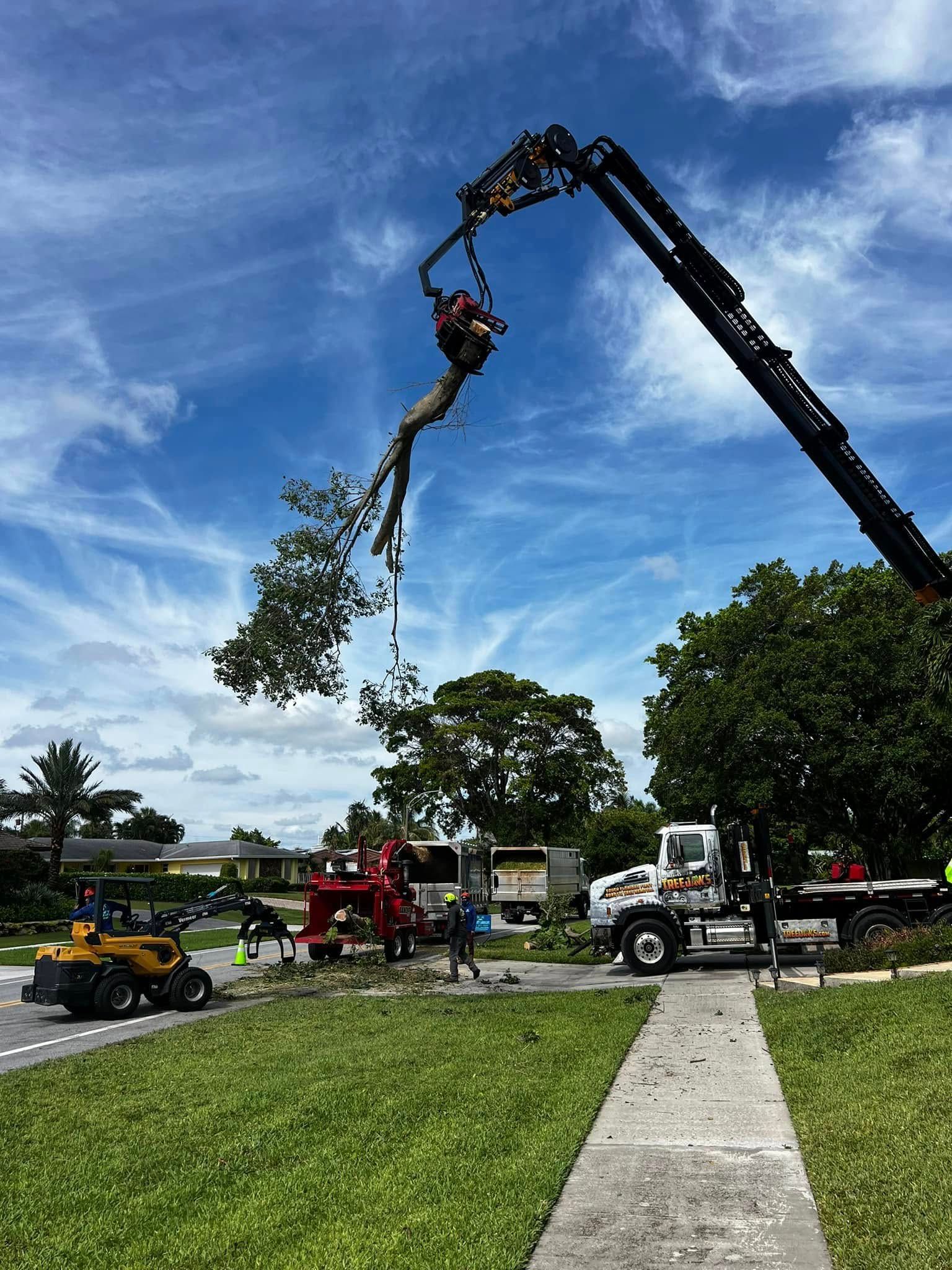 Crane Service