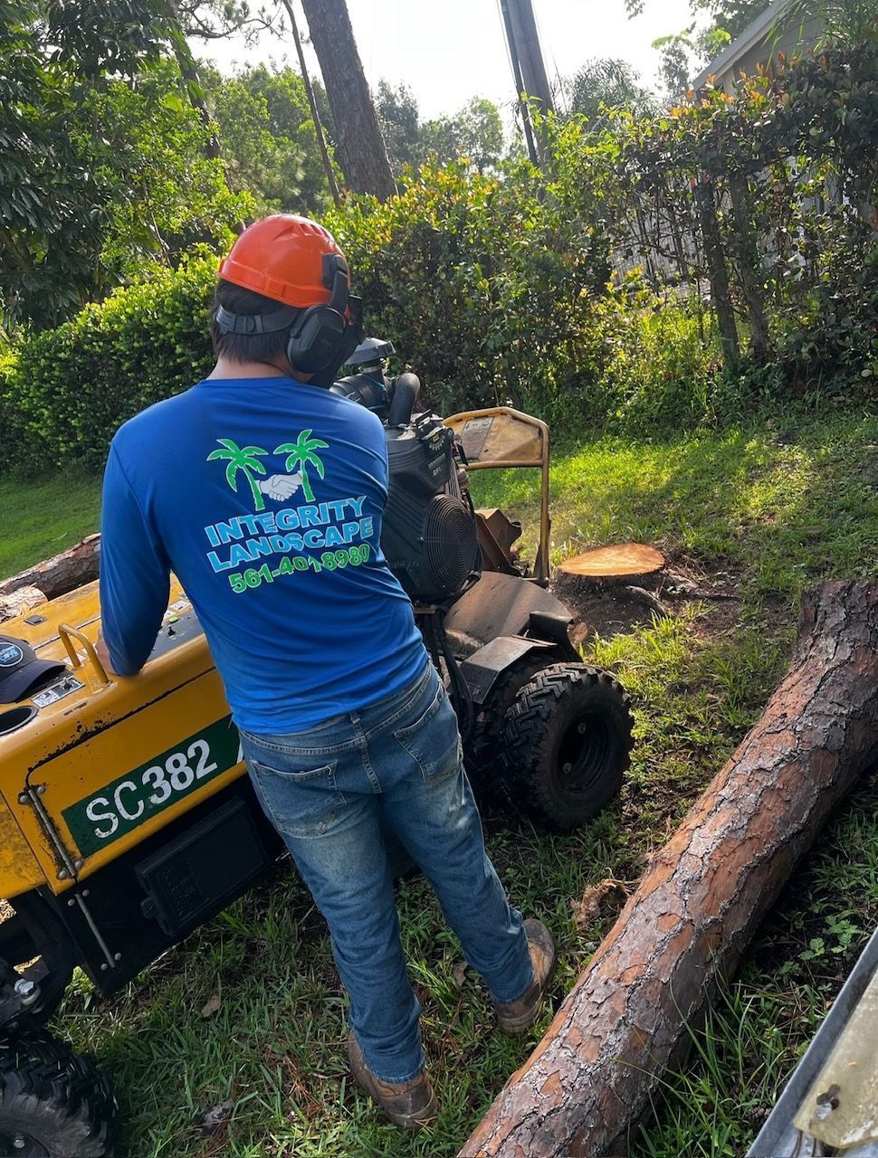 Integrity Landscape technician operating a Vermeer SC382 stump grinder on a residential tree stump in Jupiter FL