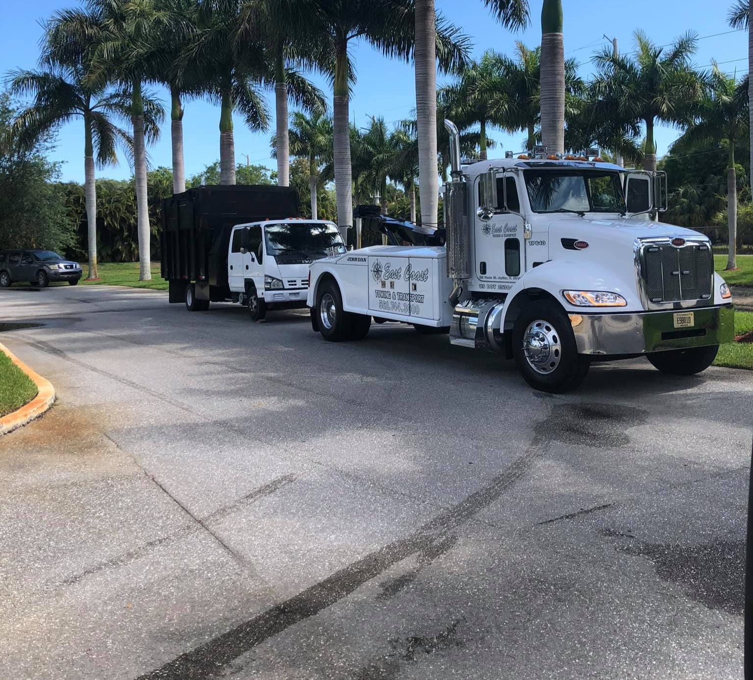 Two white tow trucks with black trailers parked on a palm-lined road