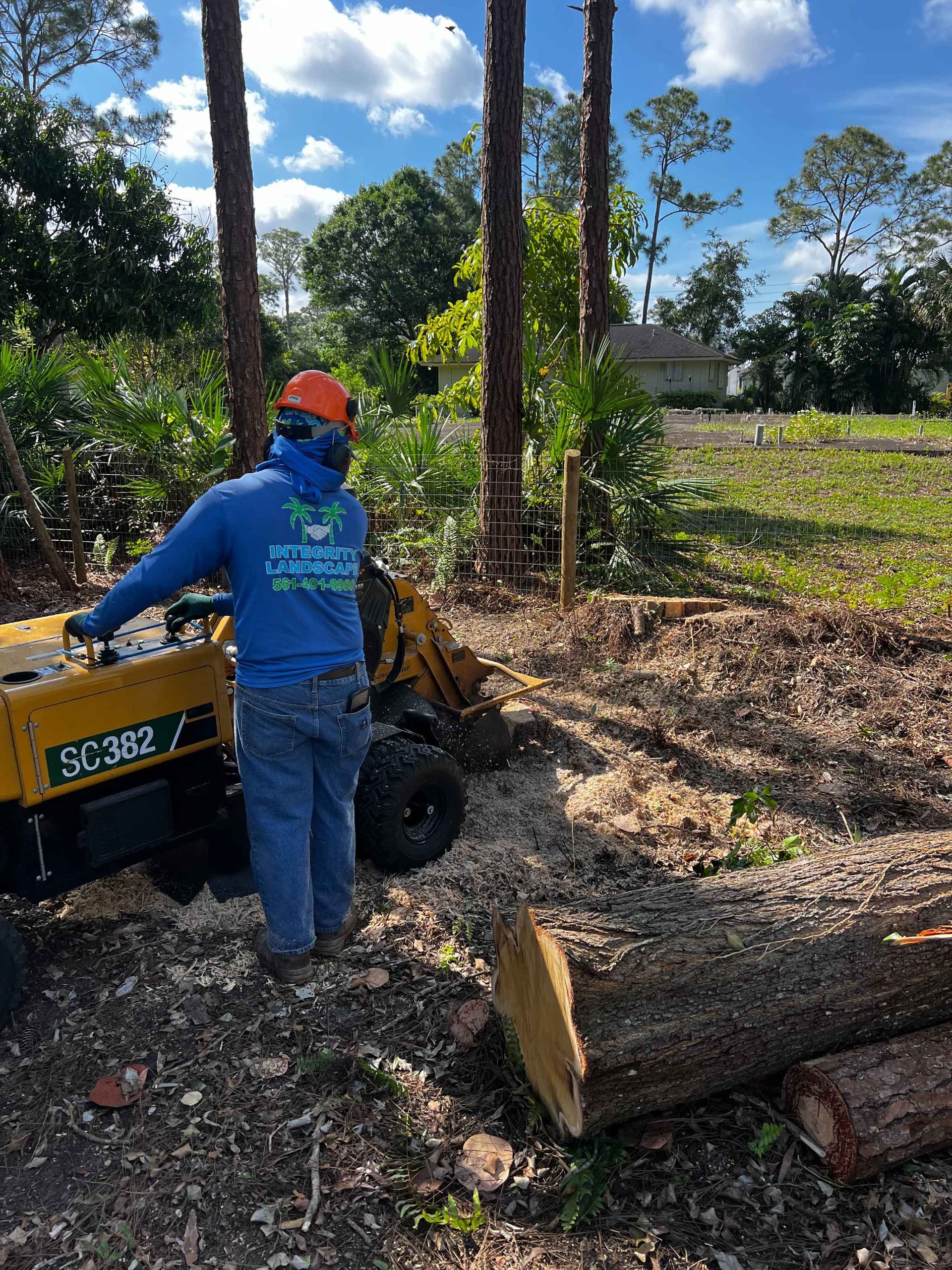 Stump Grinding