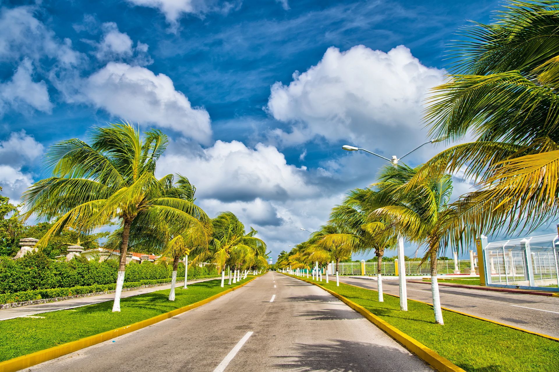 Commercial Lawn Care & Mowing