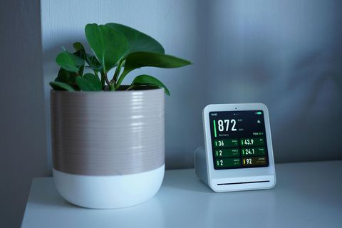 A potted plant next to a white air quality monitor displaying air quality readings.