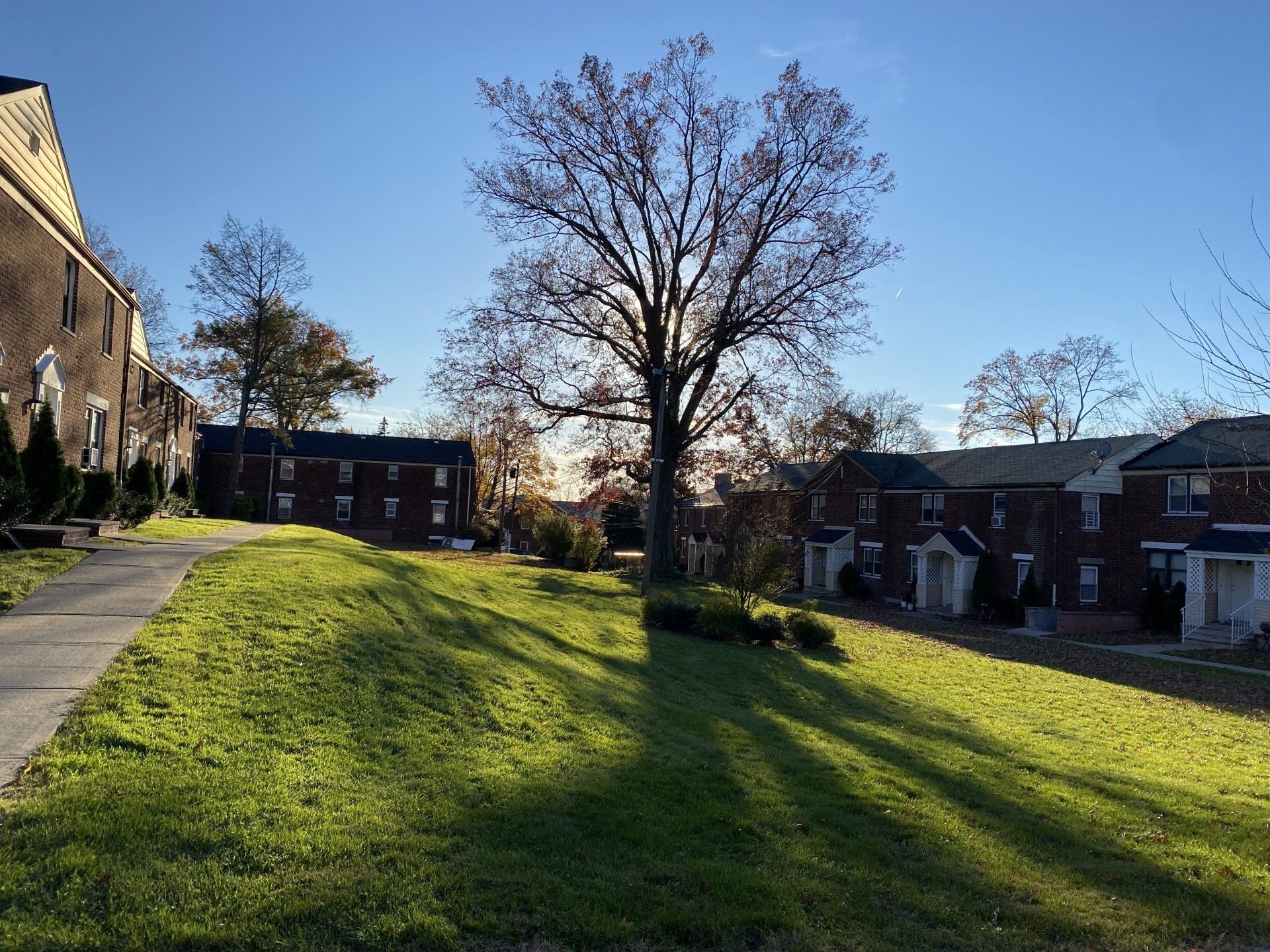 The Eden | East Orange, New Jersey