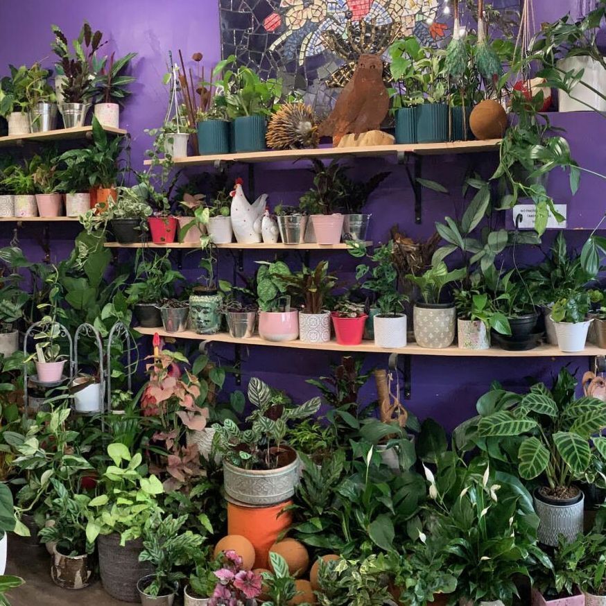 montmorency florist flower delivery, florist eltham, florist briar hill, florist greensborough , sympathy flowers montmorency