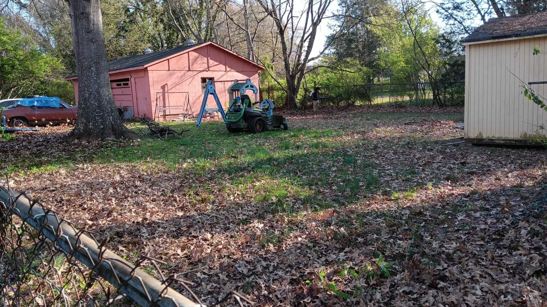 Brush Removal