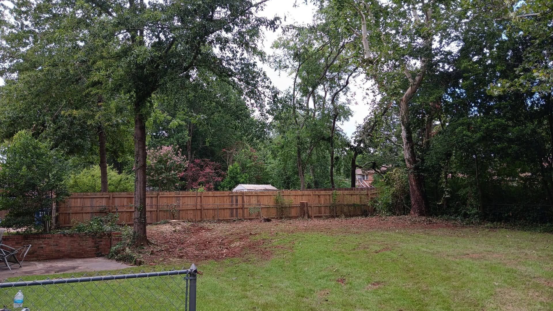 Tree Removal