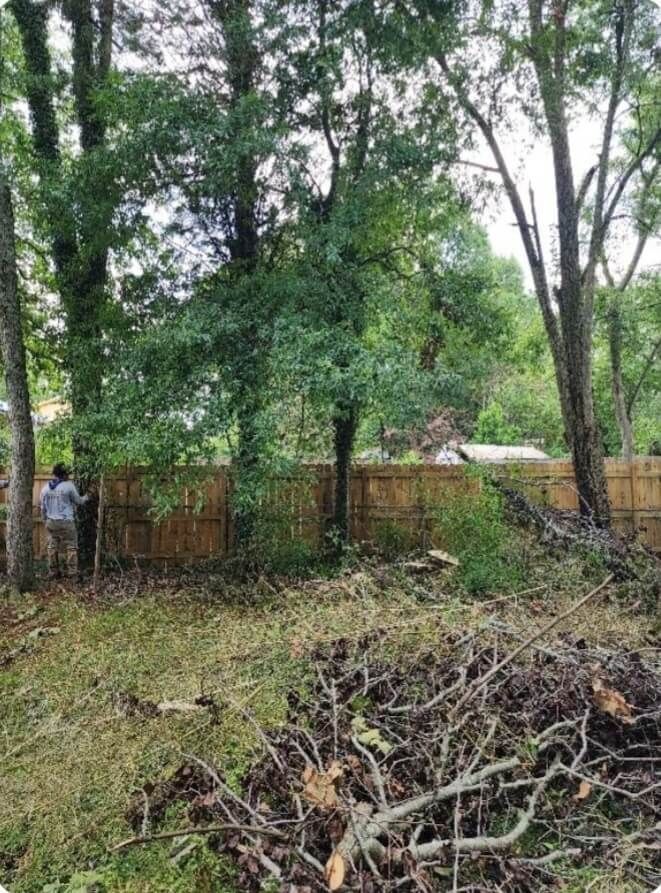 Tree Removal