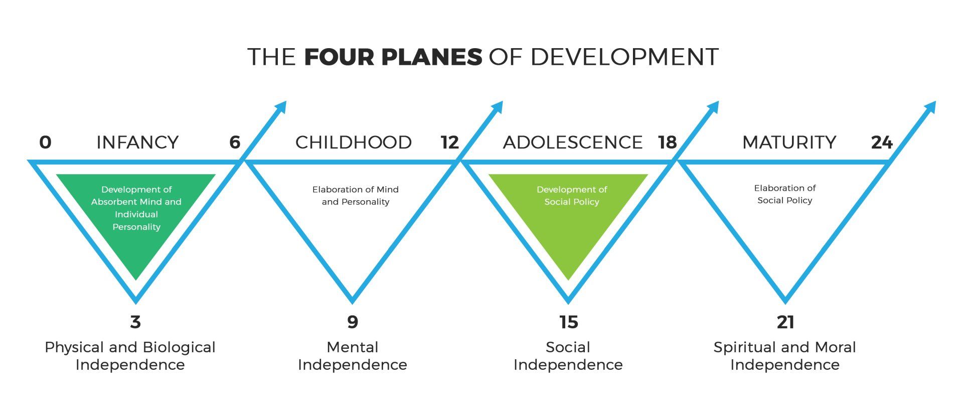 Diagram of the four planes of human development, with age ranges and stages of growth.