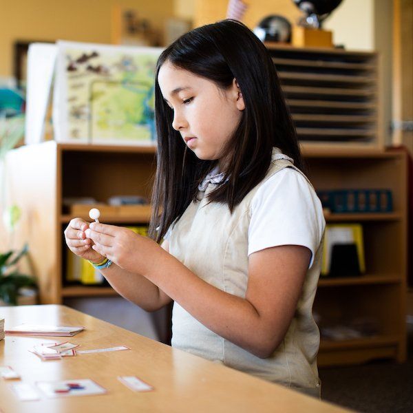 Montessori Elementary Program 